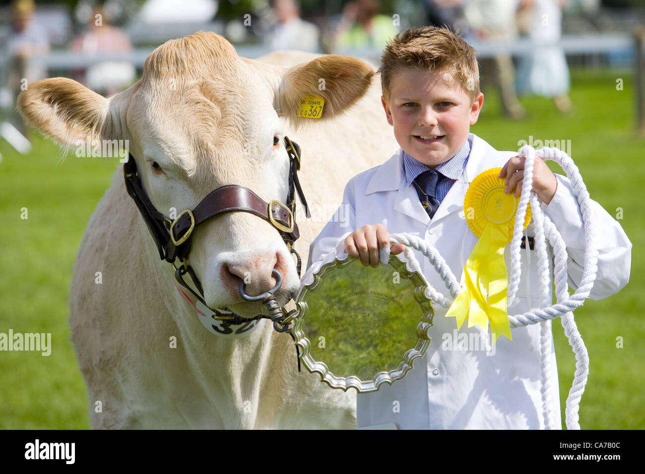 Lincolnshire Events Centre, UK, 20th June 2012. 11 year old Robbie Moore and his blonde heifer Fourjree with their awards in one of the livestock rings on the opening day of the 2012 Lincolnshire Show Stock Photo