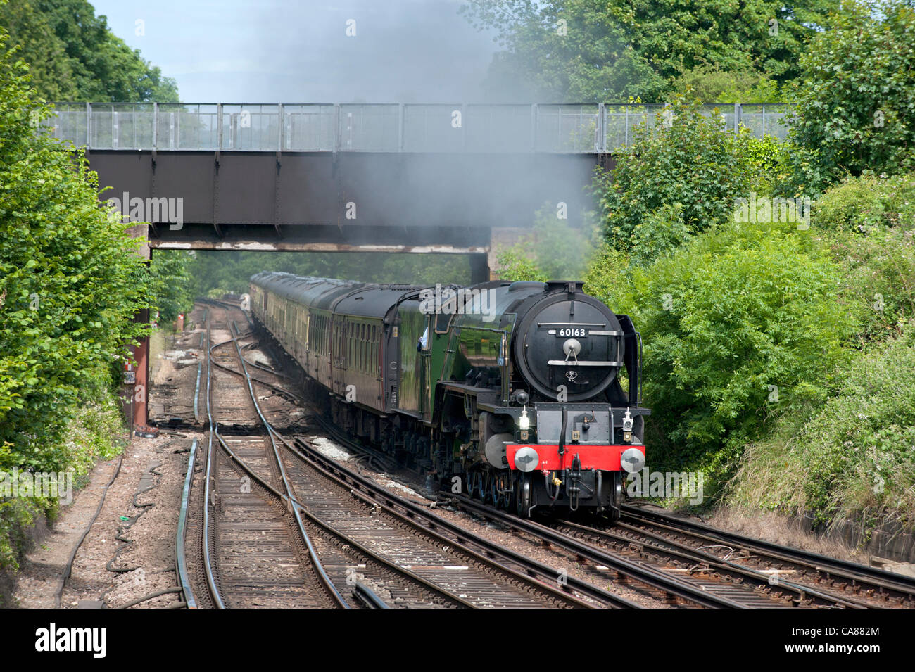 The newly built steam locomotive 60163 'Tornado' heading the Cathedral's Express charter train Stock Photo