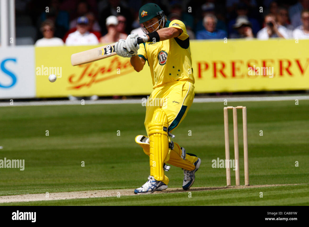 Shane watson hi-res stock photography and images - Alamy, image size:1300x956