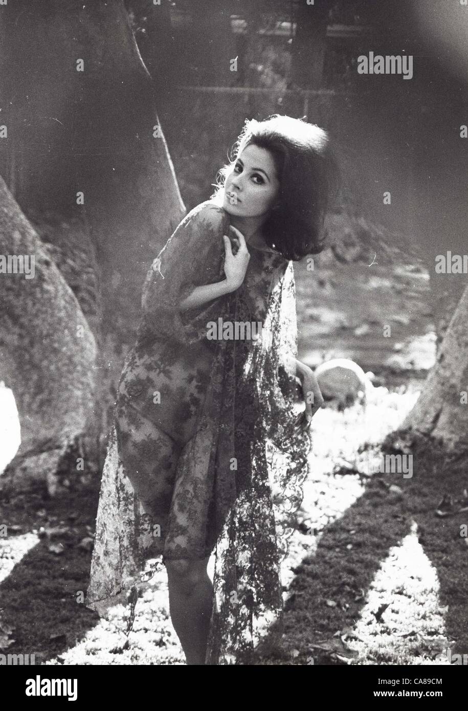 Barbara Parkins Stock Photos & Barbara Parkins Stock Images - Alamy