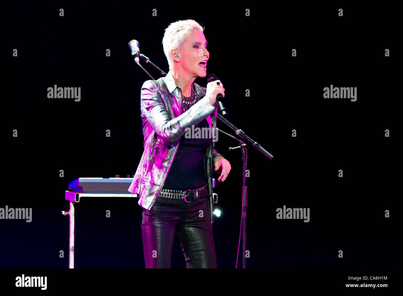 01 12 2011 Moscow Russia Concert in the Crocus City Hall. Pictured ...