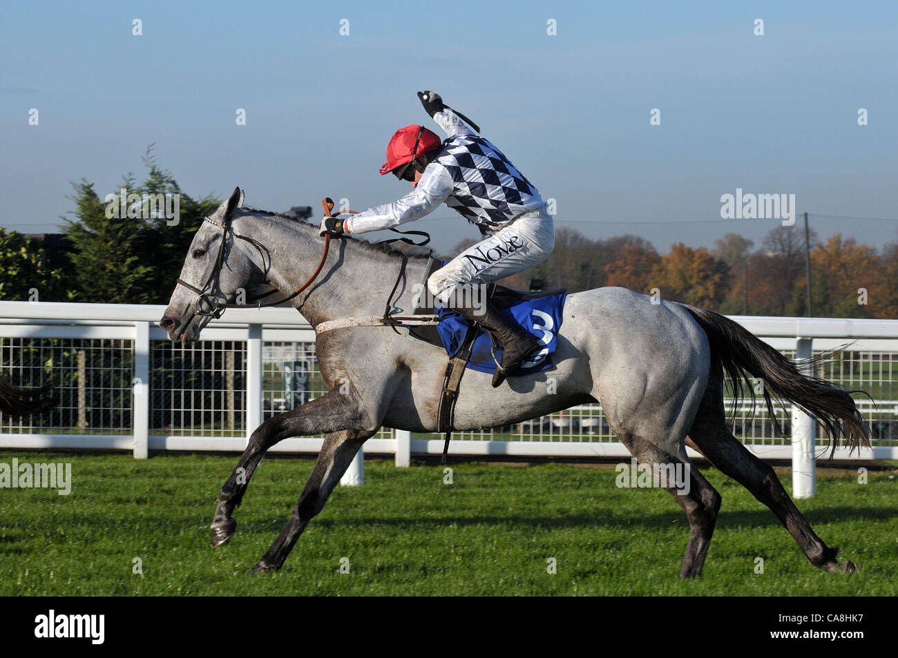 Simonsig ridden by Barry Garaghty during the Neptune Investment