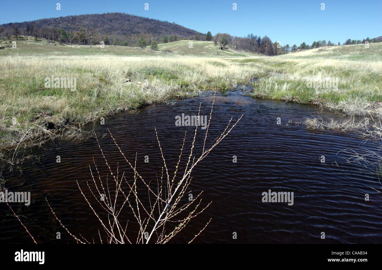 (Published 3/31/2005, B-4:1, B-3:7)  A rare pool of water is created in an area of Rancho Cuyamaca State Park as Little Stonewall Creek empties into a field.  UT/John Gastaldo Stock Photo