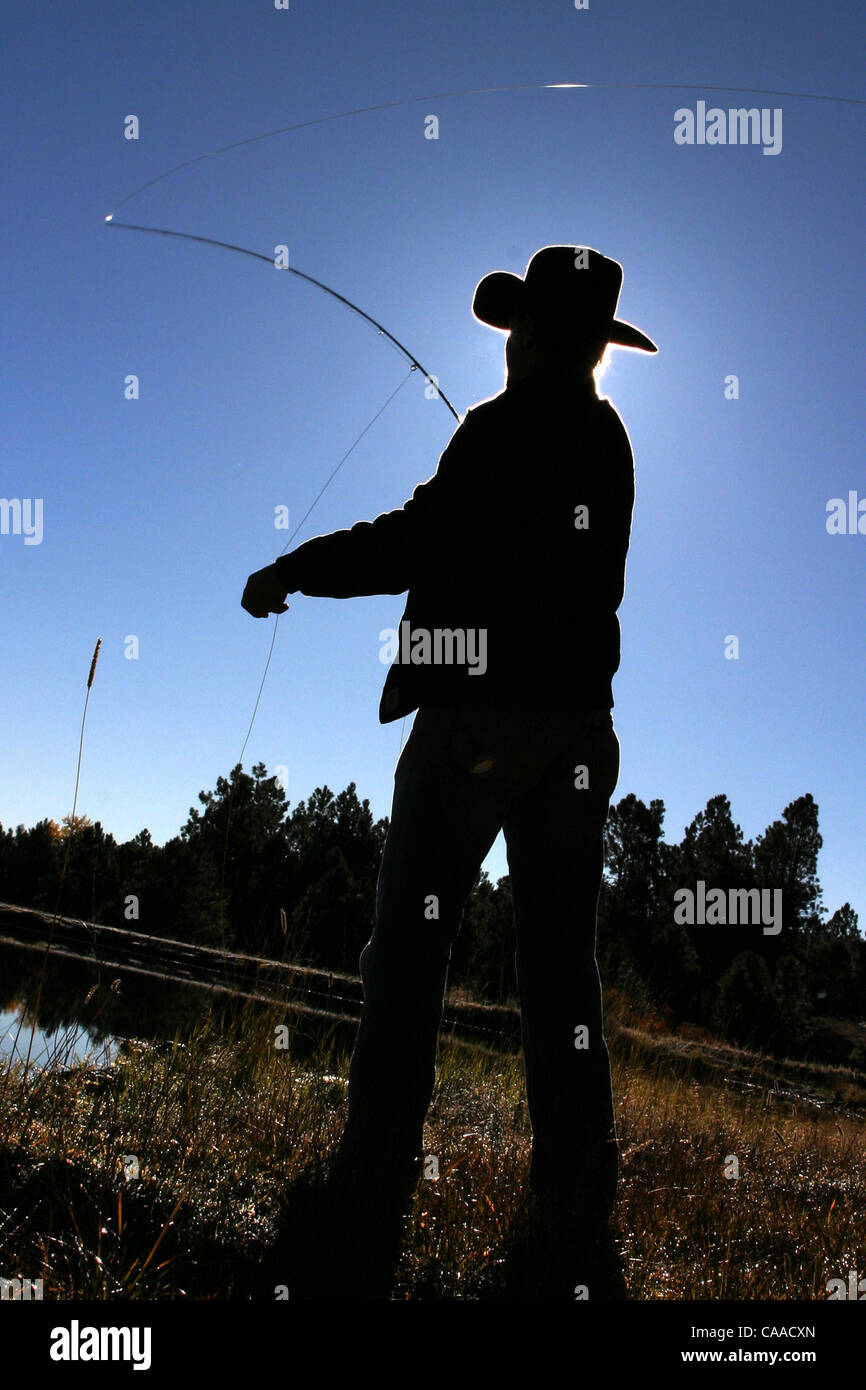 Oct. 14, 2004 Greer, Arizona, United States of America A silhouette