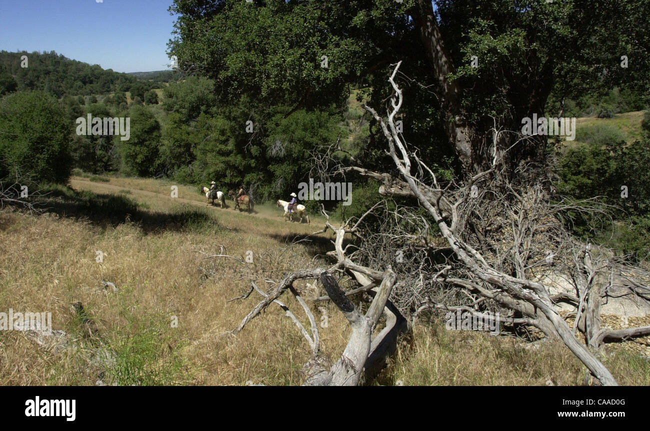 (Published 07/09/2003, E-10, UTS1746736) Carol Matzenauer, Ron Matzenauer, and   Stephanie Petersen, ride through a horse trail at Cuyamaca Rancho State Park.  UT/John Gastaldo Stock Photo