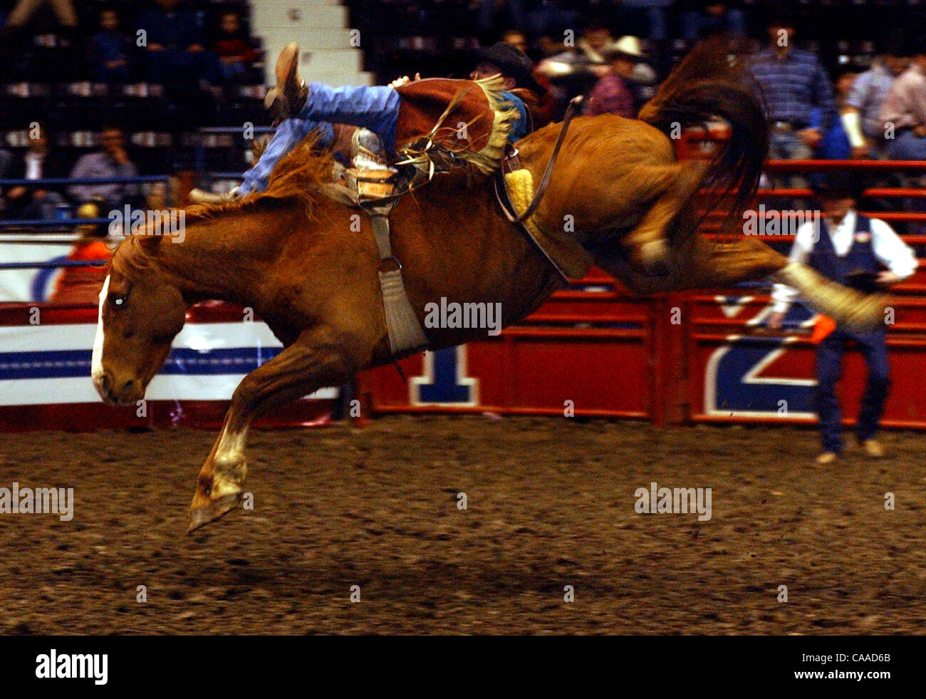 Feb 08, 2003 - Cincinnati, Ohio, USA - Cowboys who are Bareback Bronk ...