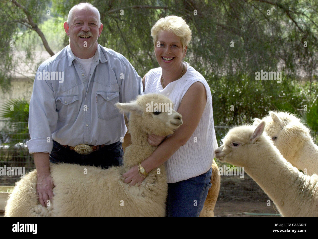 (Published 03/02/2003, N-7) Karl Talmon (left) and Anita Vake stand with one of their prized Alpaca at their home in Fallbrook on Tuesday. They breed alpaca and their company is called Golden State Alpacas. UT photo by Eduardo Contreras Stock Photo