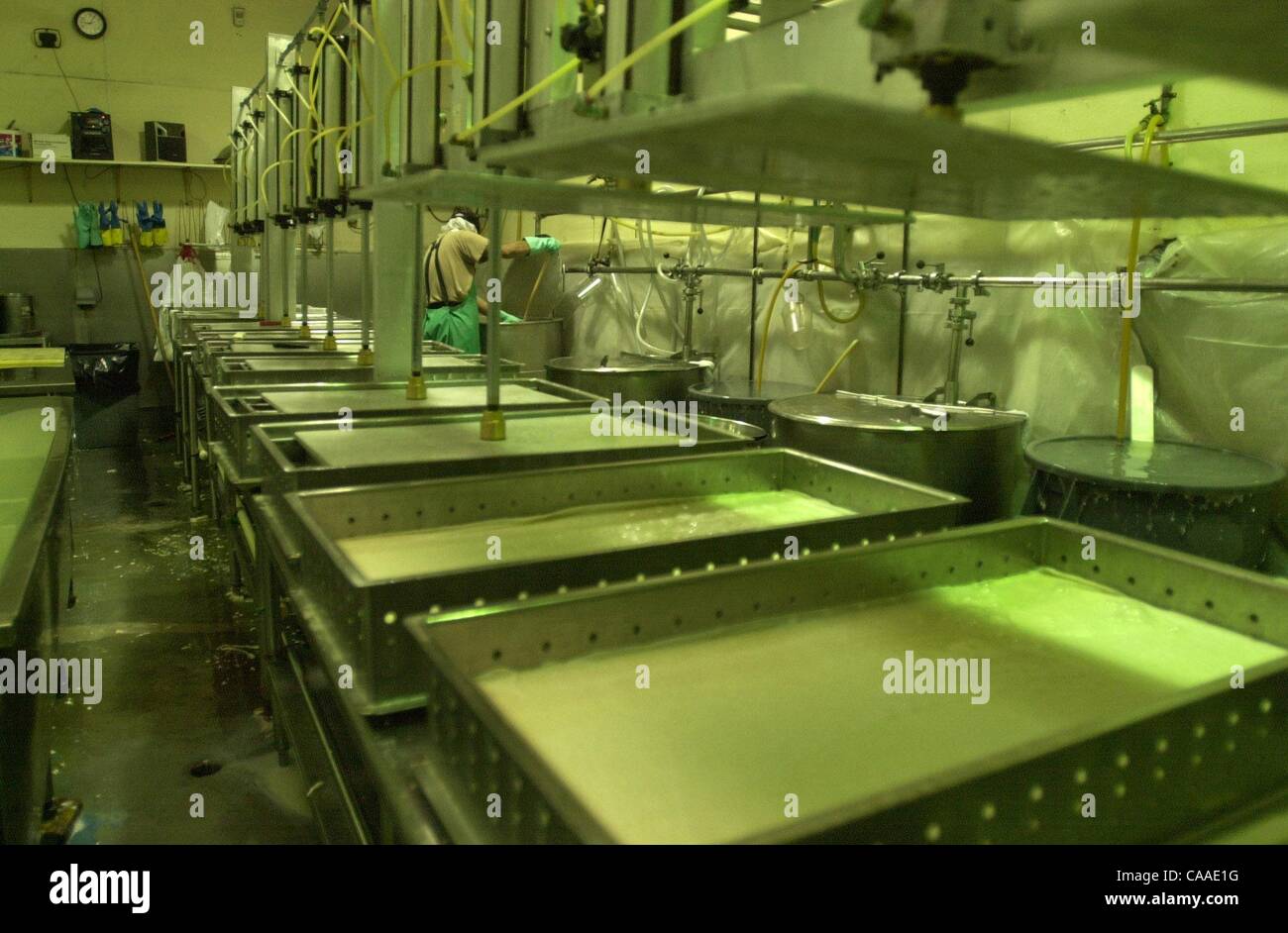 (Published 6/16/2004, E5, Food, UTS1814197) Making tofu Curdled soy