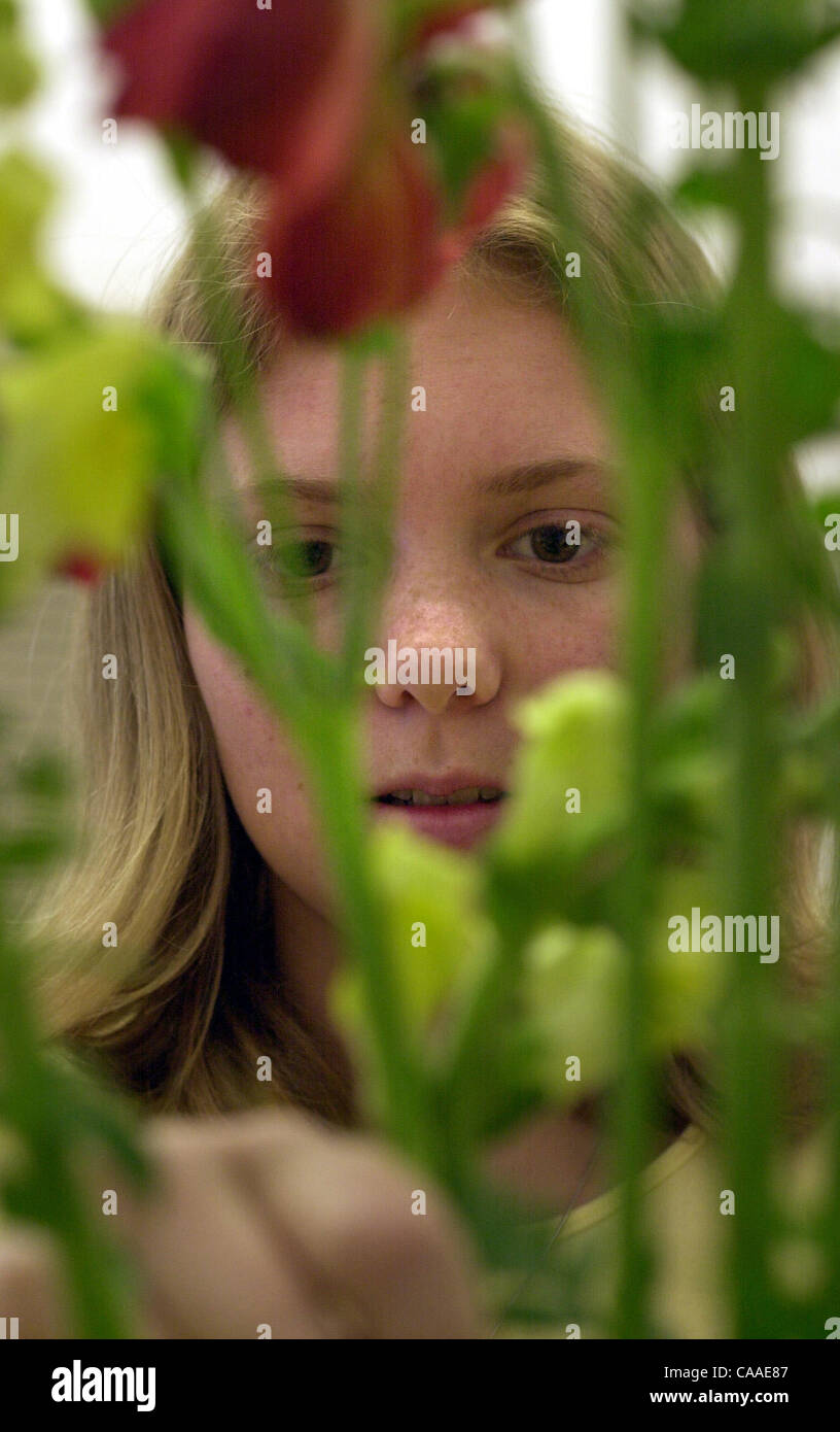 Alysha Morgan's Instagram, Twitter & Facebook on IDCrawl