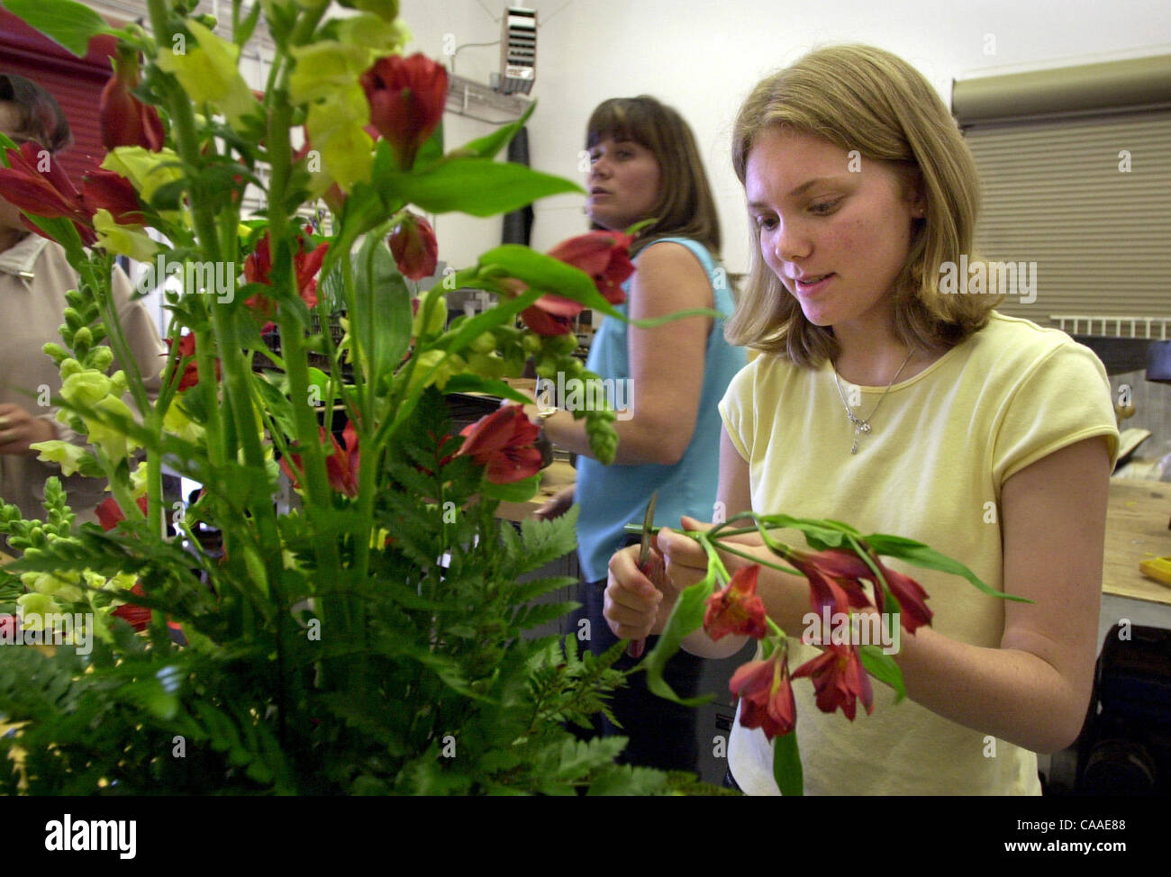 Equilateral Triangle Flower Arrangement