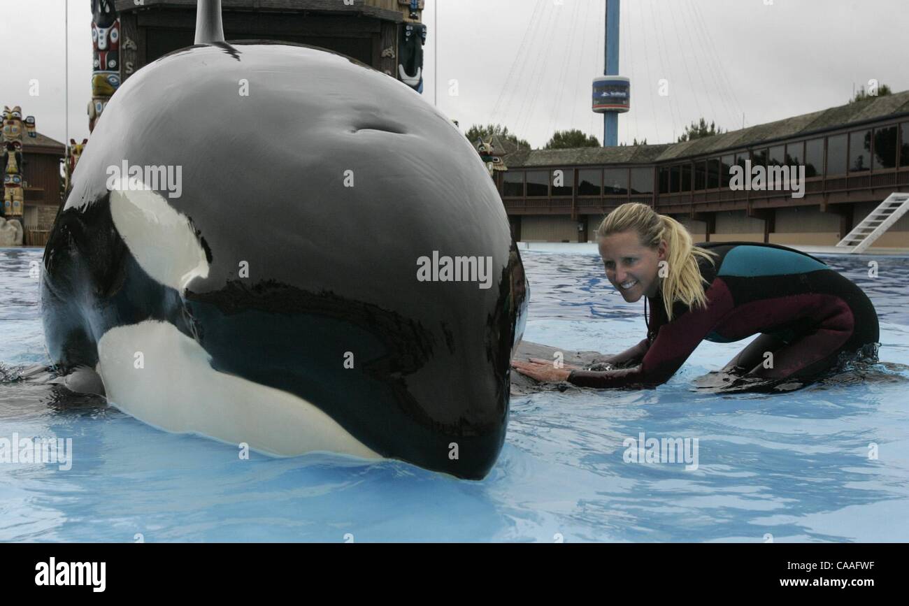 Corky killer whale hires stock photography and images Alamy