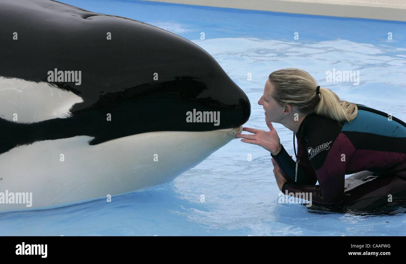 Corky killer whale hires stock photography and images Alamy