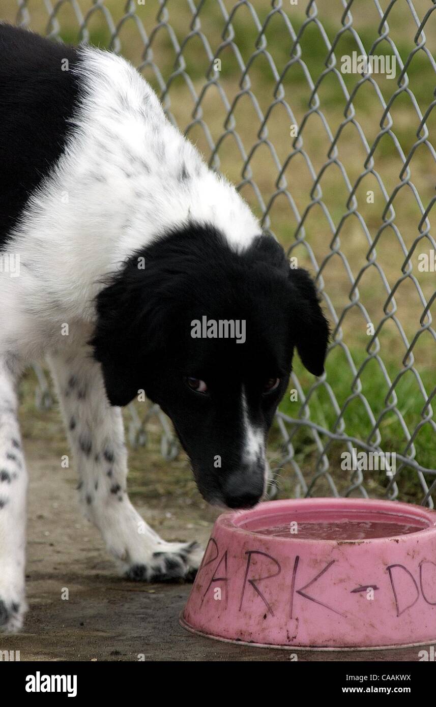 Major drawback hi-res stock photography and images - Alamy