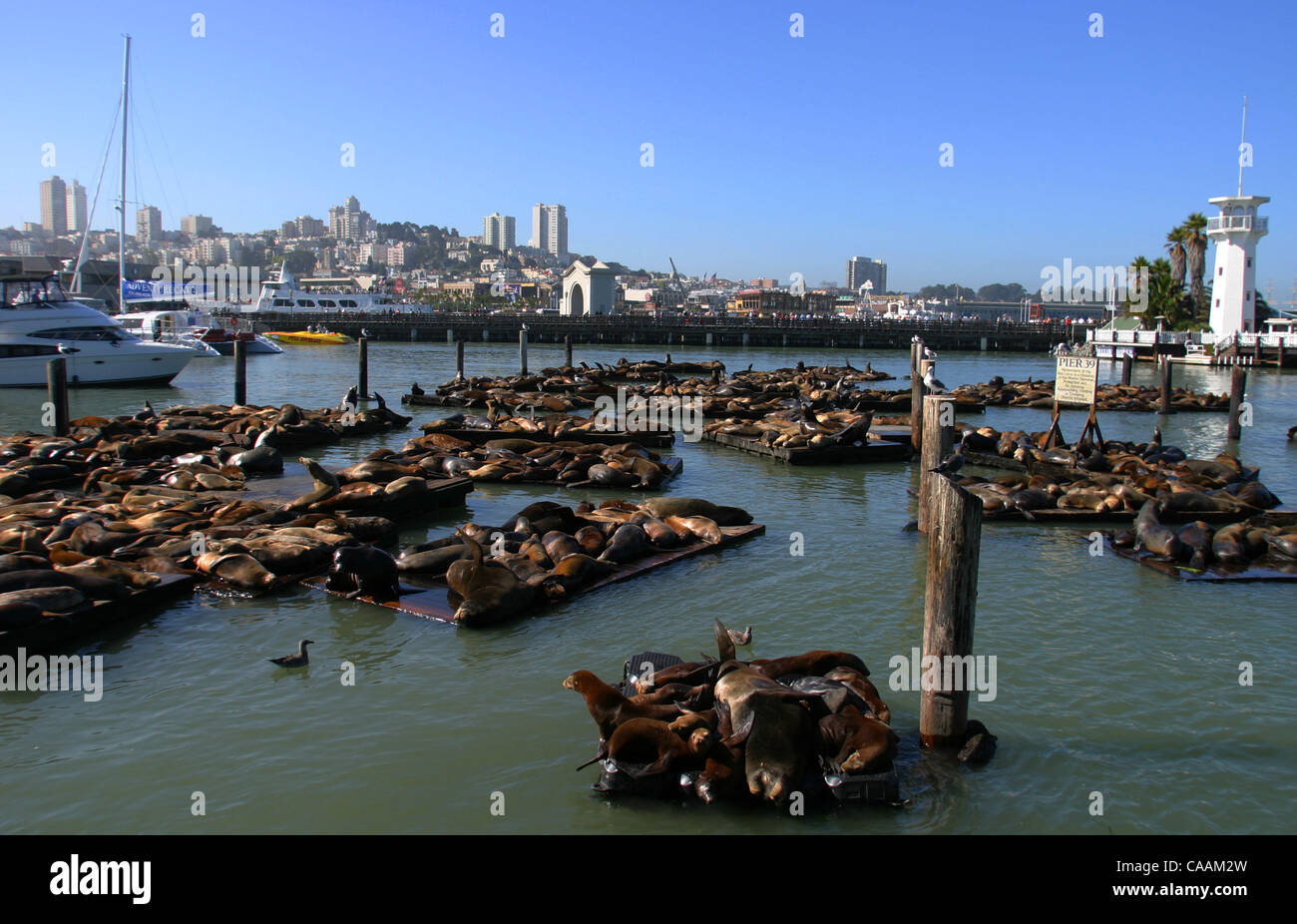 1989 san francisco earthquake hi-res stock photography and images - Alamy
