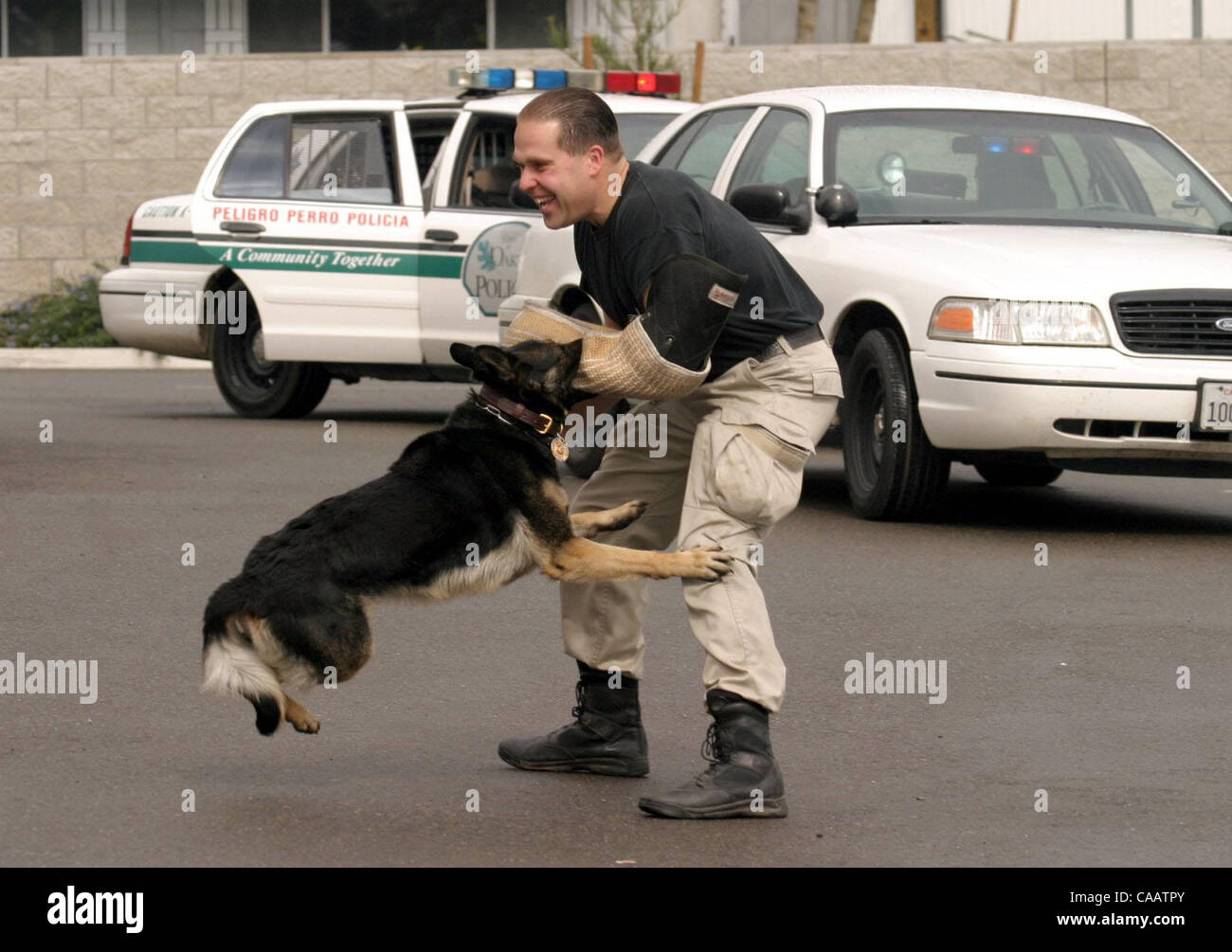 Contra Costa County Sheriff's officer Robert Roberts cq is attacked by Oakley  Police dog Bessi during a demonstration in front of the Comfort Suites  Hotel during the city hosted 