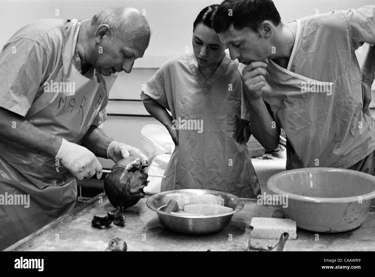 A UN forensic anthropologist at the morgue in Orahovac/Rahovec, Kosovo, shows two interns the trajectory of a bullet through the skull of an Albanian man, a victim of war crimes, possibly by the Albanian Kosovo Liberation Army. Stock Photo