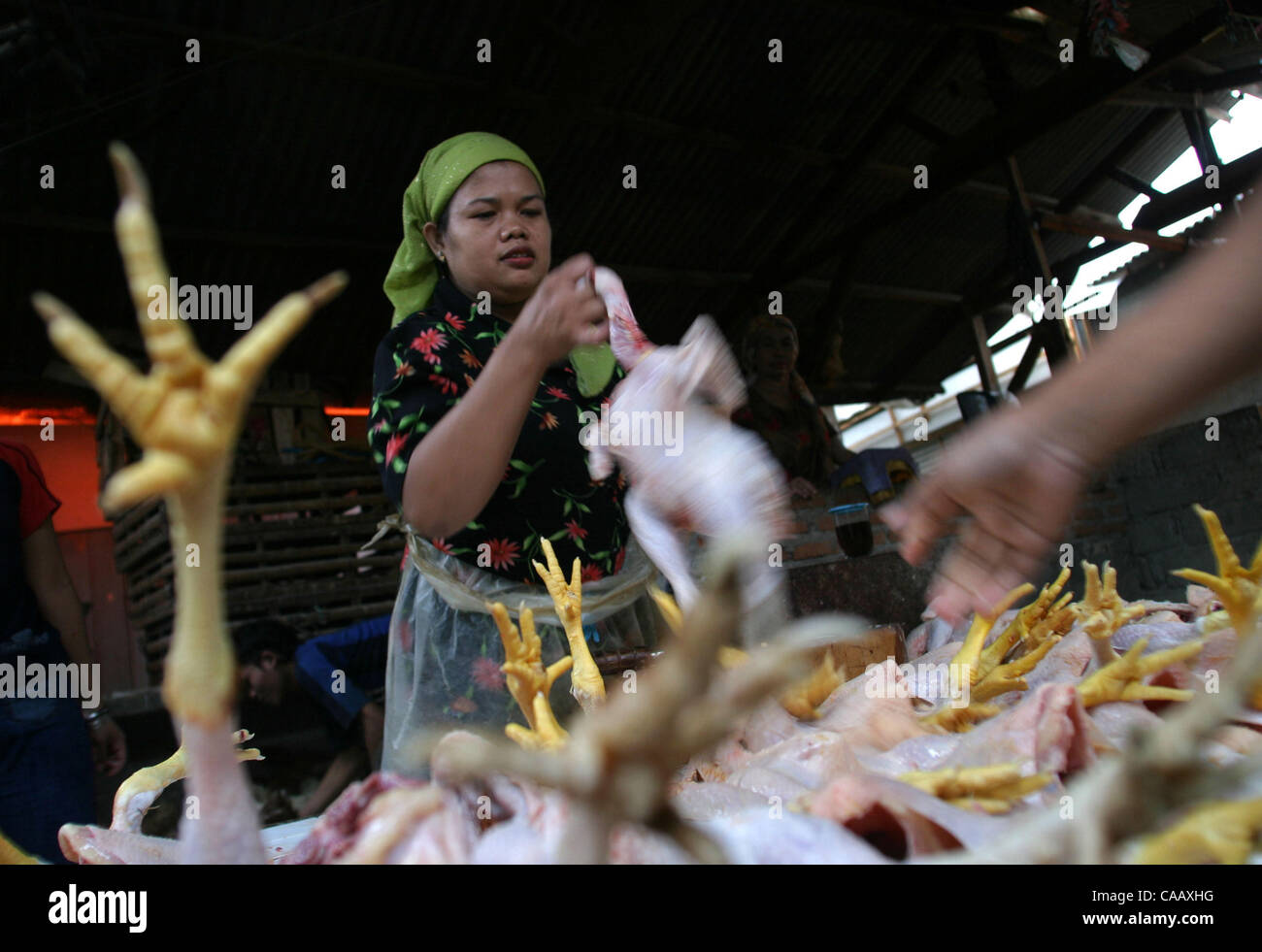 JAKARTA, INDONESIA - JANUARY 26, 2004  In the early hours of dawn a chicken vendor does business at a traditional market in a village in South Jakarta.  Having seen no slow down in business since the announcment of the bird flu two days ago, the vendor is selling over a 100 freshly killed chickens a Stock Photo