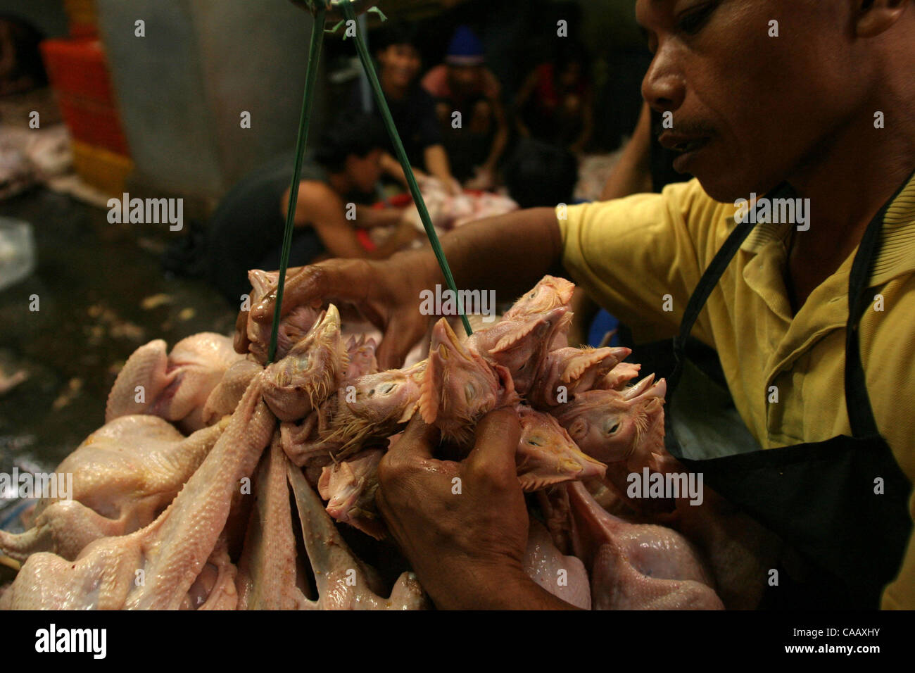 JAKARTA, INDONESIA - JANUARY 30, 2004  Since this weeks announcment of the contagious 'bird flu' virus in Indonesia, sales of chickens through out the country have seen a 50% decline.  The slaughter house at Pasar Senen, Jakarta's central market, is still busy with the stench of death and dinner flo Stock Photo