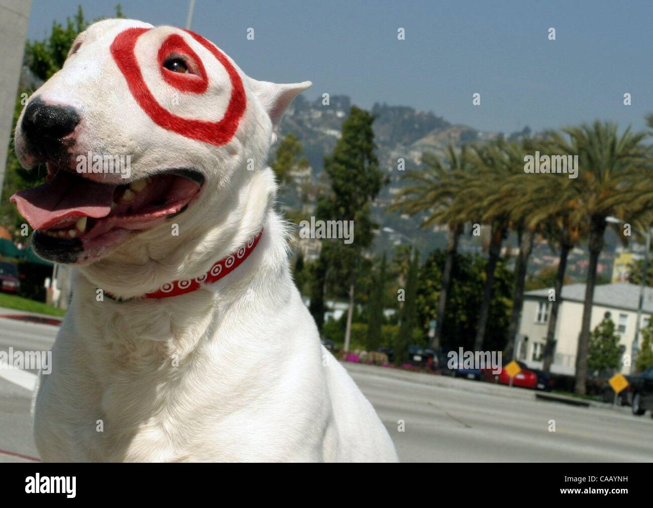 Is The Target Dog Alive