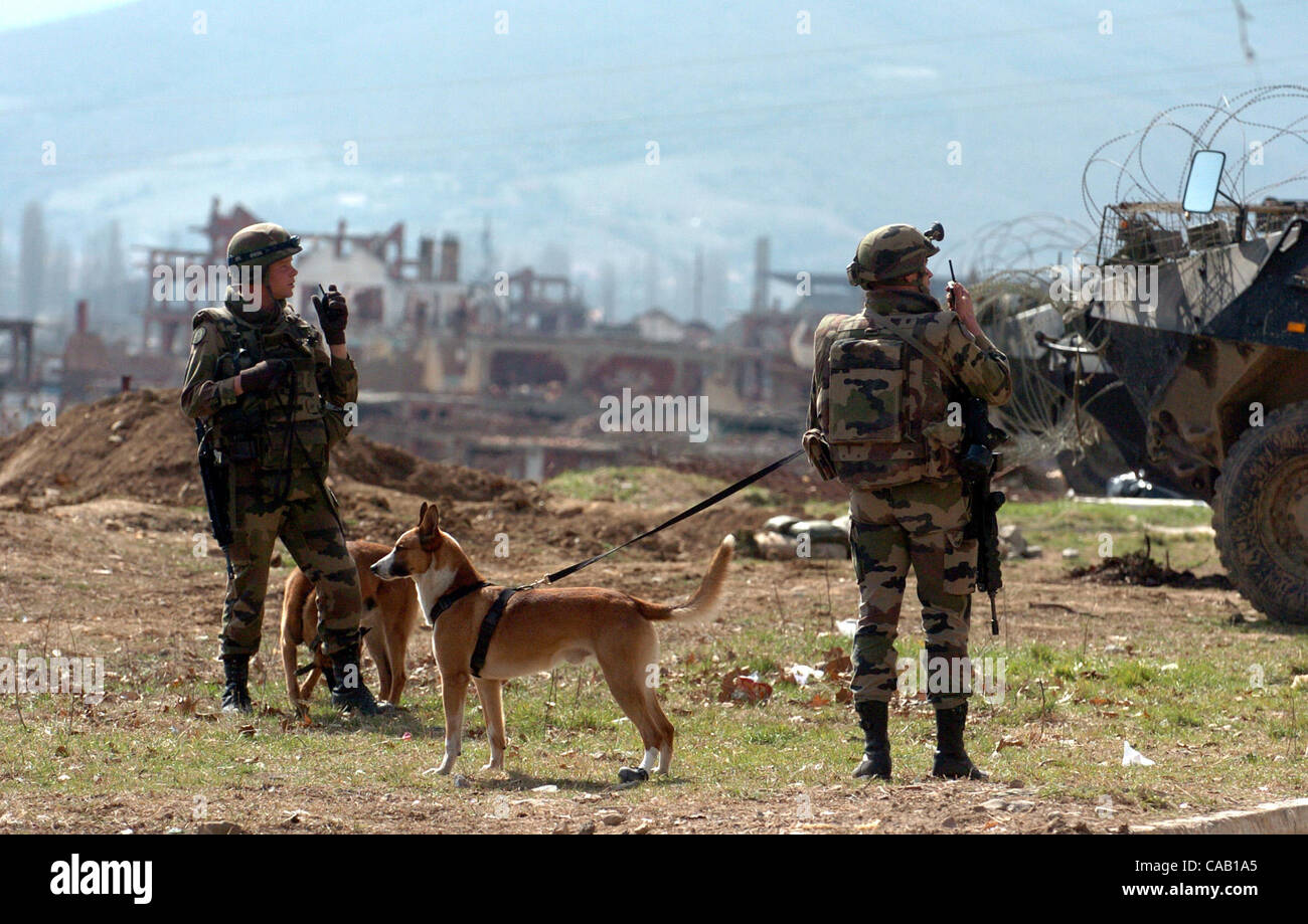 Mar 22, 2004; Kosovo, SERBIA; French soldiers and scent dogs from the NATO-led peace force stand beside armored vehicles in the northern part of Kosovska Mitrovica. A guarded bridge is all that that divides this troubled city into North (controlled by Serbs) and South (controlled by Albanians). Riot Stock Photo