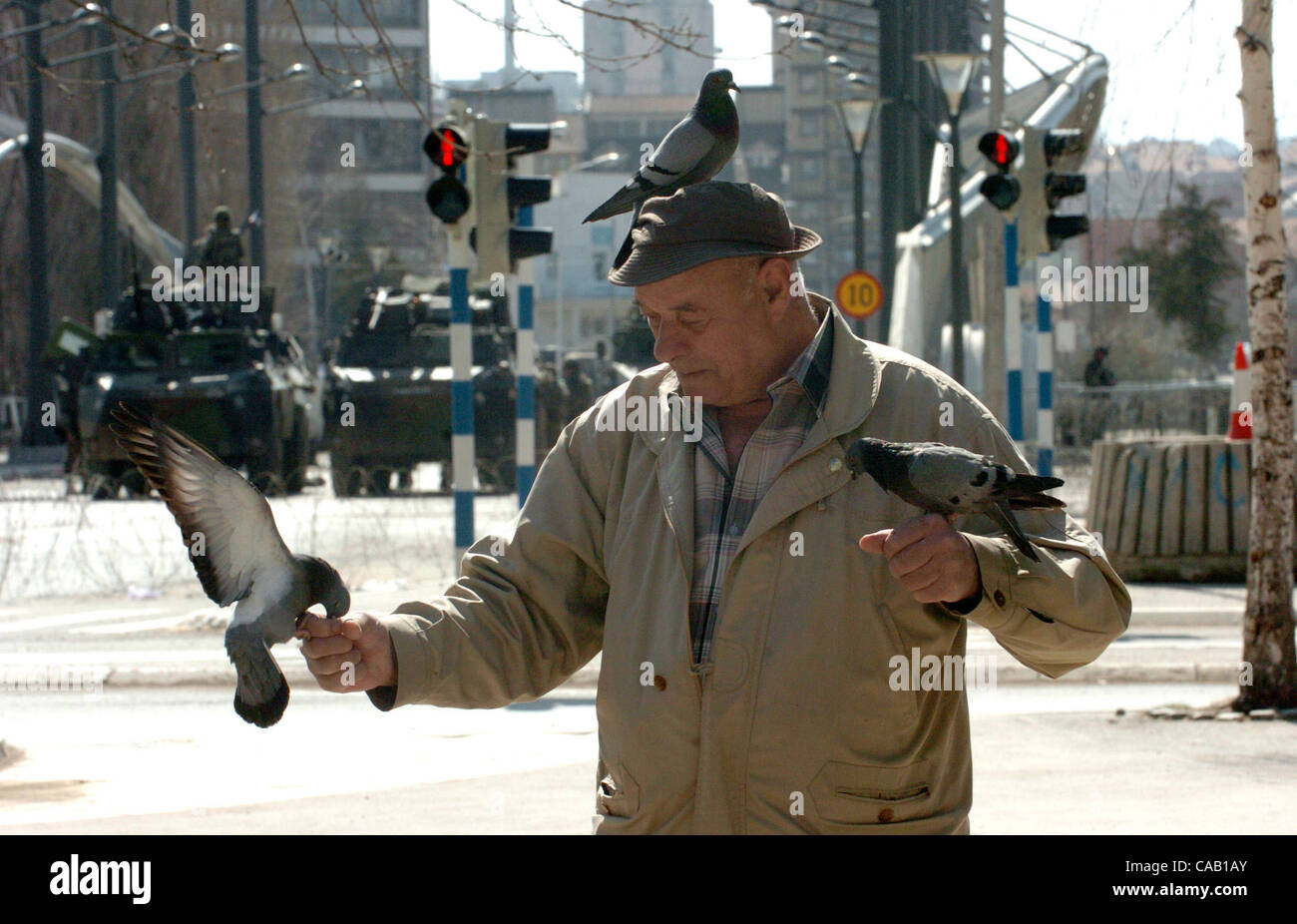 Mar 22, 2004; Kosovo, SERBIA; An old Serb man feeds the pigeoens nar the bridge in Kosovska Mitrovica, near the bridge that divides this troubled city into North (controlled by Serbs) and South (controlled by Albanians). The bridge is blocked with KFOR troops and armoured vehicles to prevent both si Stock Photo