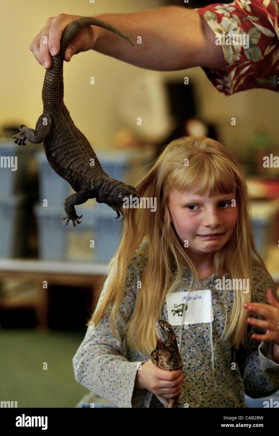 May 27, 2004 - Milwaukie, Oregon, U.S. - A student has her hair pulled by  an iguana during a Wildlife Stewards event at Lewelling Elementary School.  (Credit Image: Â© L.E. Baskow/ZUMApress.com Stock