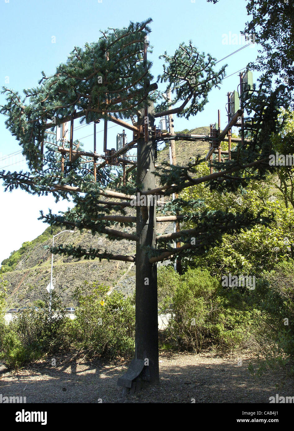 A large metal pole with artificial brances that looks like a tree is along side Highway 24 at Fish Ranch Road in Orinda Calif. The fake tree is used for cell phone reception. (DAN ROSENSTRAUCH/CONTRA COSTA TIMES) Stock Photo