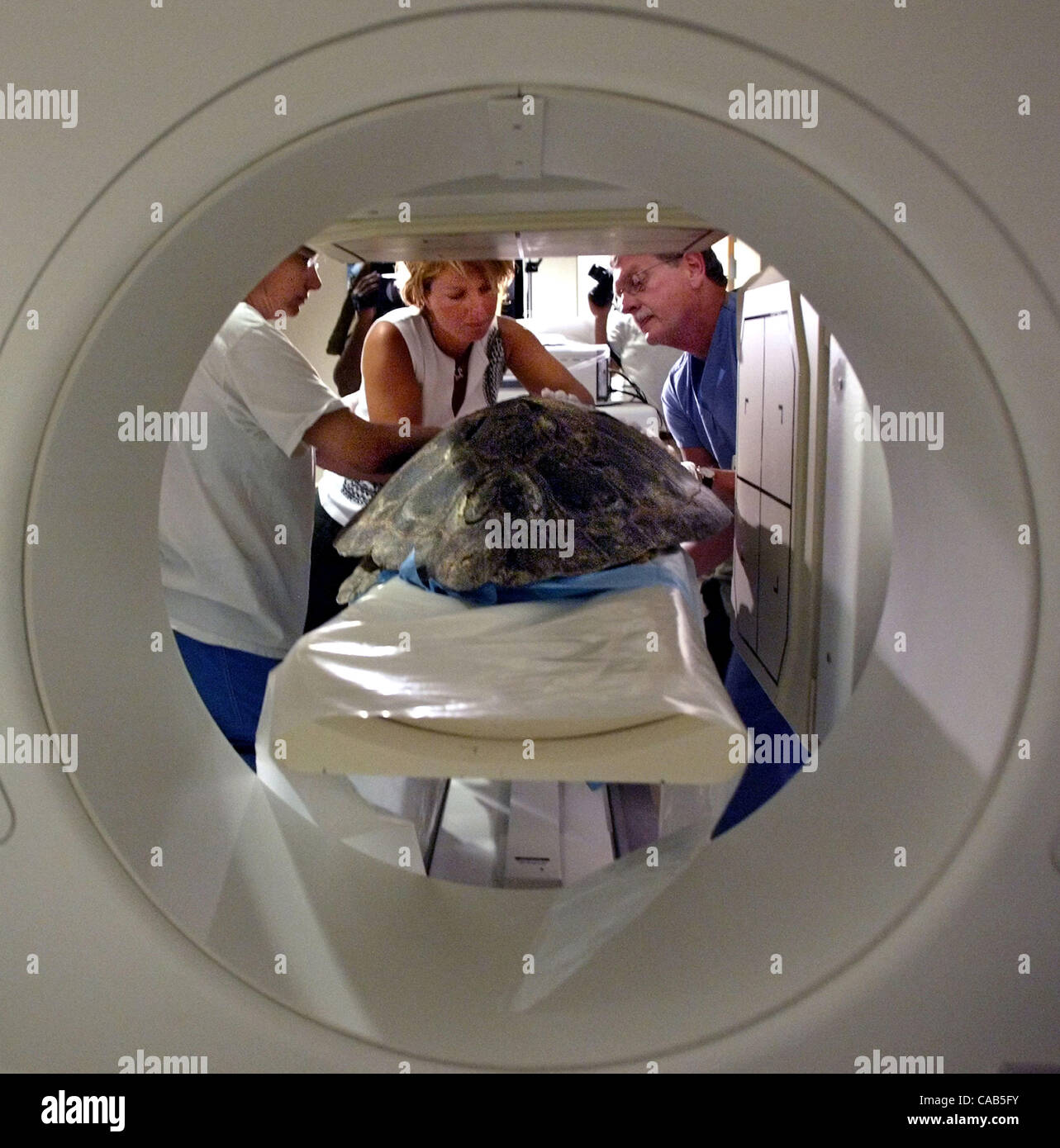 Nuclear Infested Turtle LIVE METRO, 4/28/04. STUART......Veterinarian, Nancy Mettee, center ...