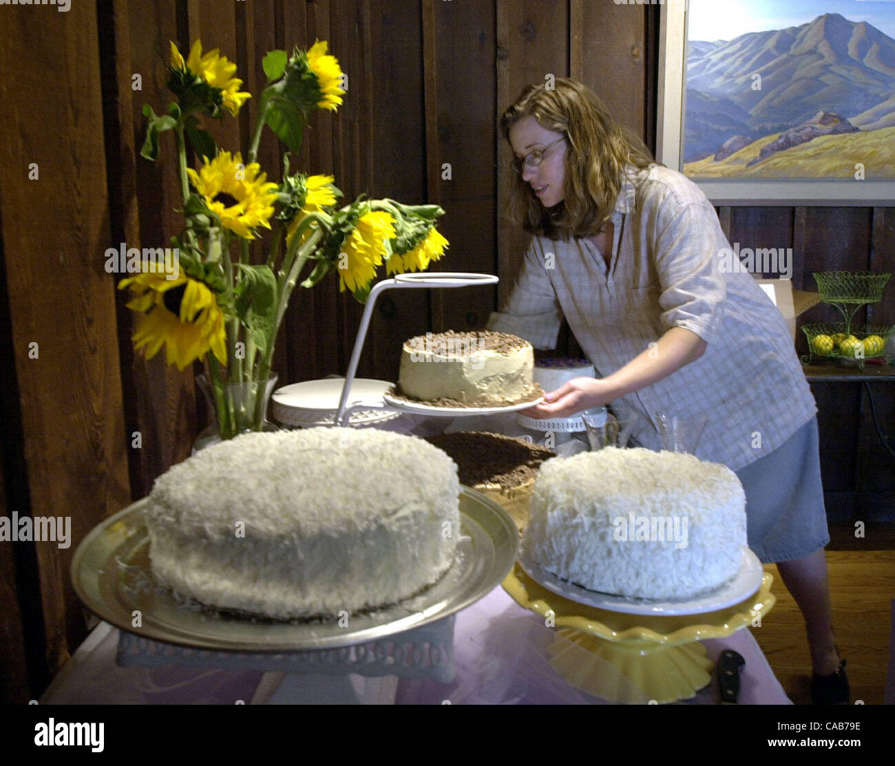 Eileen Kilmartin puts her three homemade wedding cakes out on a dessert table before her wedding in Mill Valley, Calif., on Sunday, May 09, 2004. (CONTRA COSTA TIMES/EDDIE LEDESMA) Stock Photo