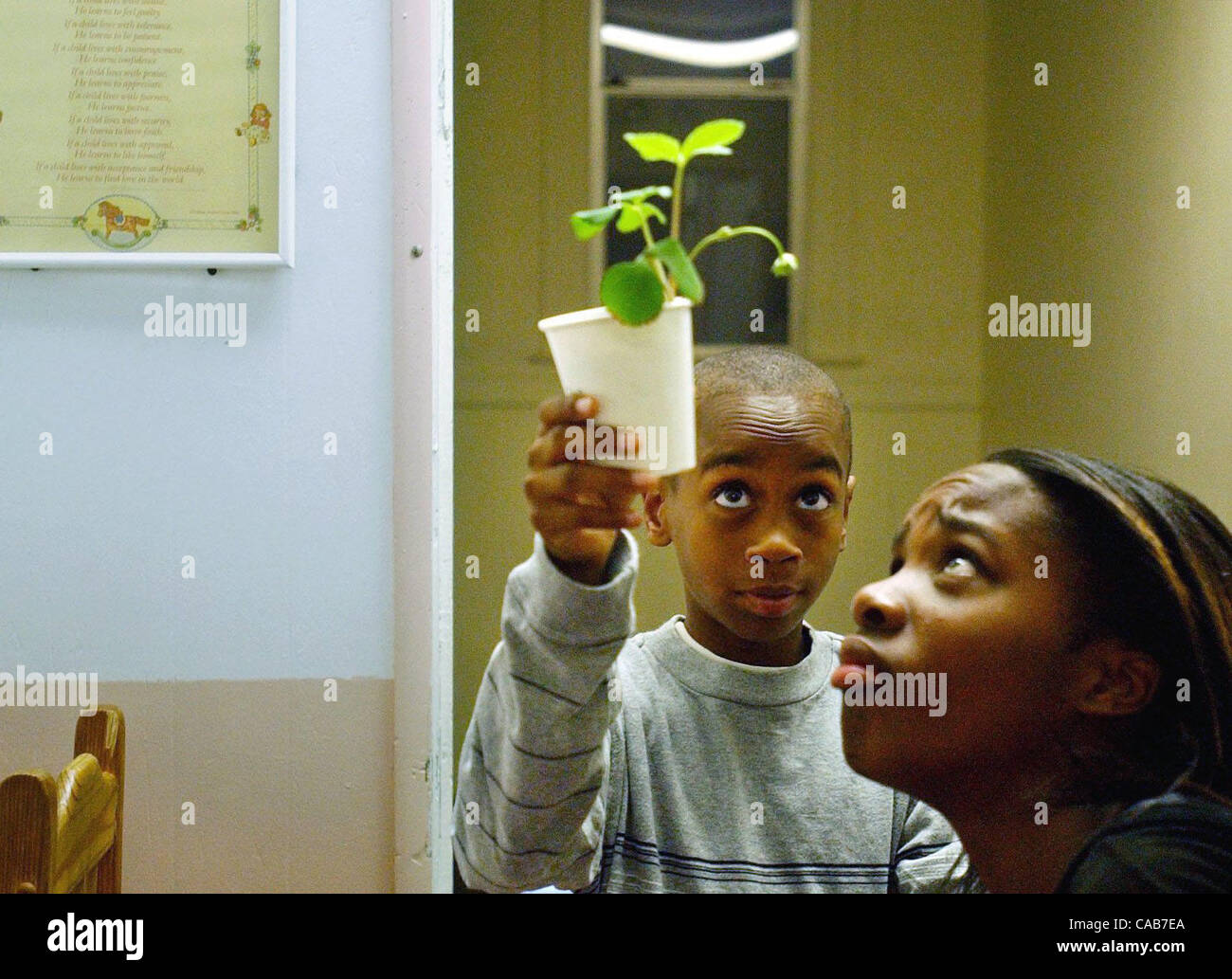 Proud of his strawberry plant, Krystian Brooks, 11, shows it off to housemate Donnisha Moore, 14, Thursday morning, May 13, 2004. The youth live in transitional housing at the Bay Area Rescue Mission.   (Contra Costa Newspapers/Joanna Jhanda) Stock Photo