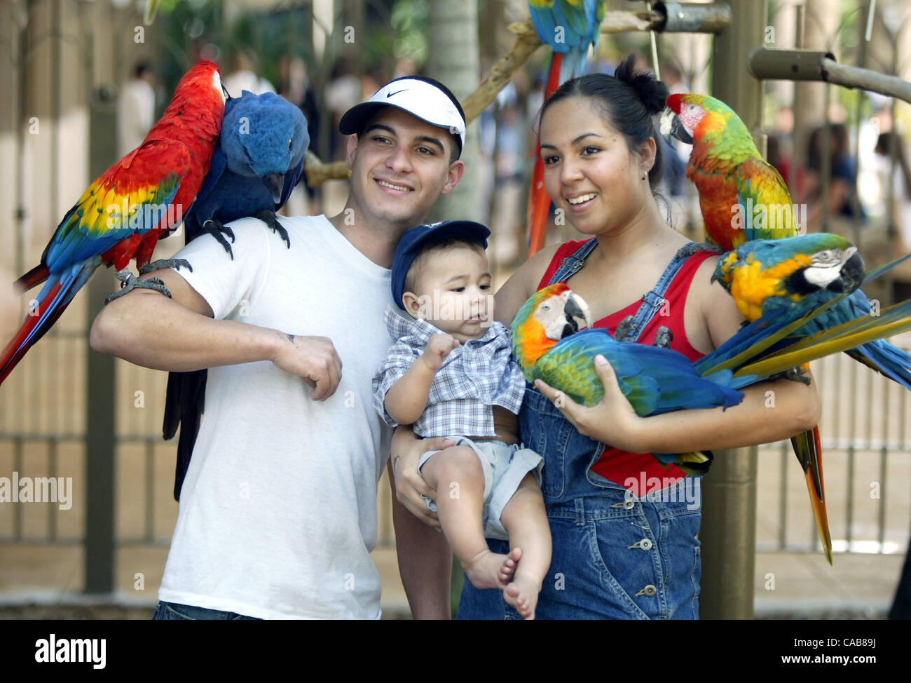051704 Parrot Jungle Island in Miami features more than 500 species