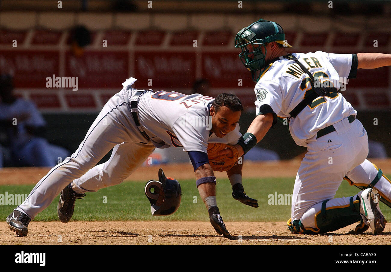 Texas Rangers left fielder Brad Miller (13) swings at a pitch during the  fourth inning against the Oakland Athletics in Oakland, CA Thursday May 26,  2 Stock Photo - Alamy