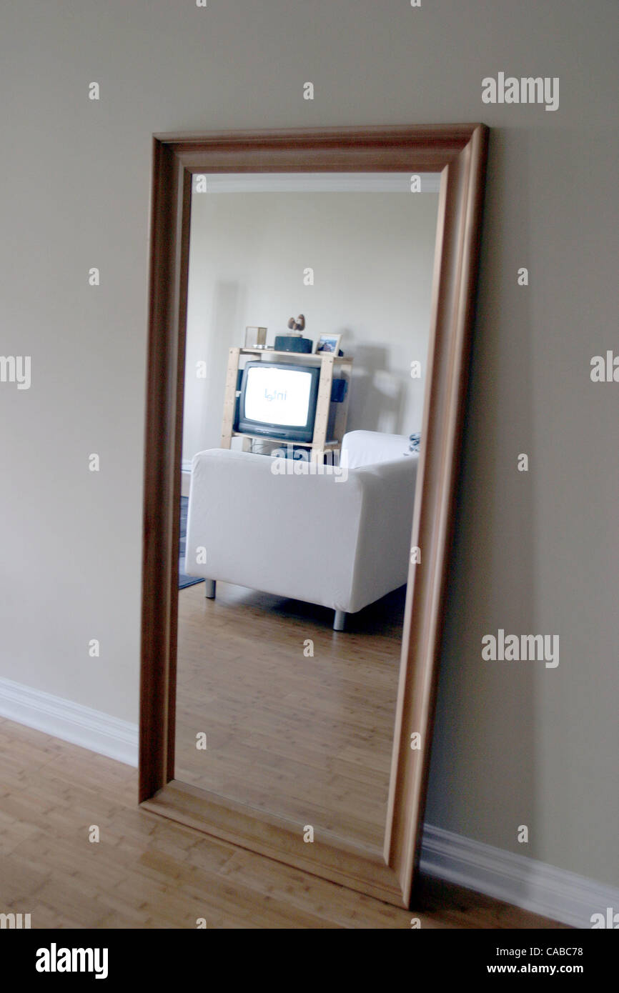 Jun 12, 2004; Los Angeles, CA, USA; Bamboo hardwood floors with a