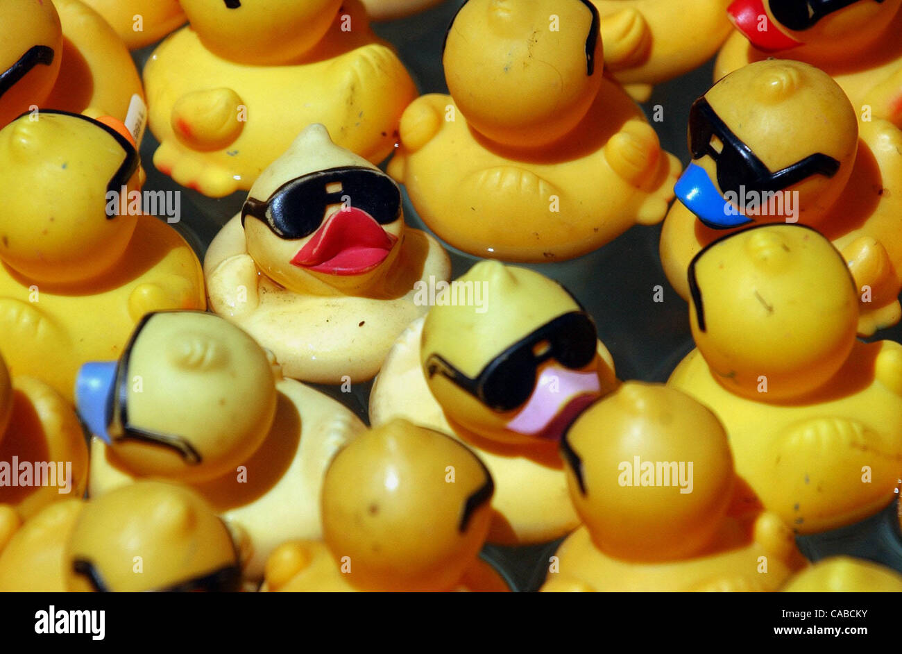 Poolside prep work for the Children's Hospital Rubber Ducky Derby was