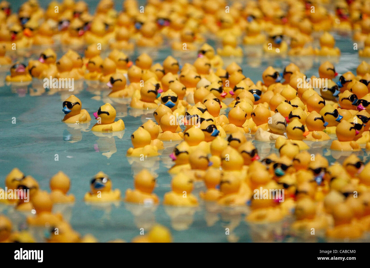 Poolside prep work for the Children's Hospital Rubber Ducky Derby was