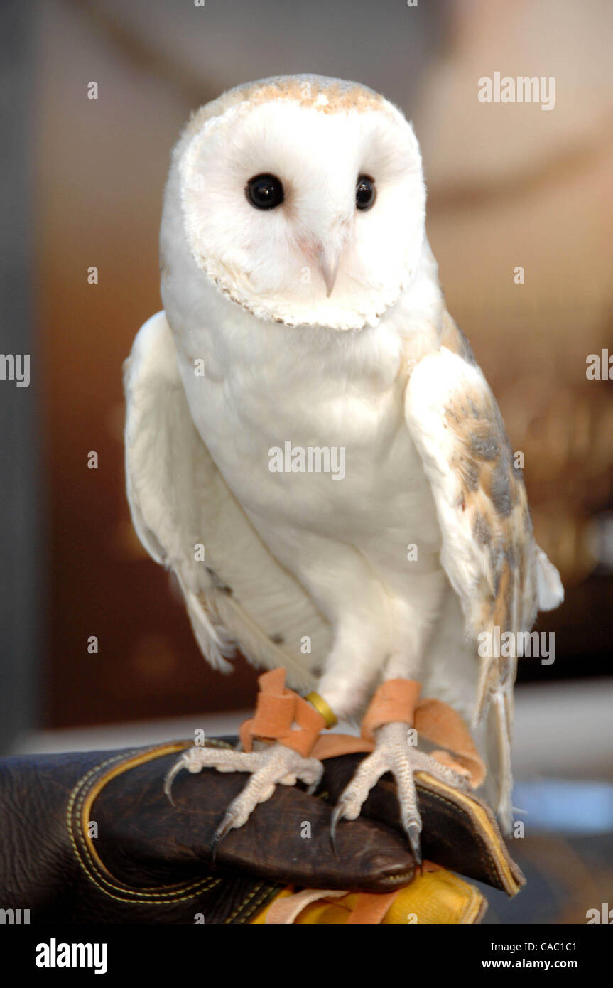 Sept. 19, 2010 Los Angeles, California, U.S. OWL Attending The