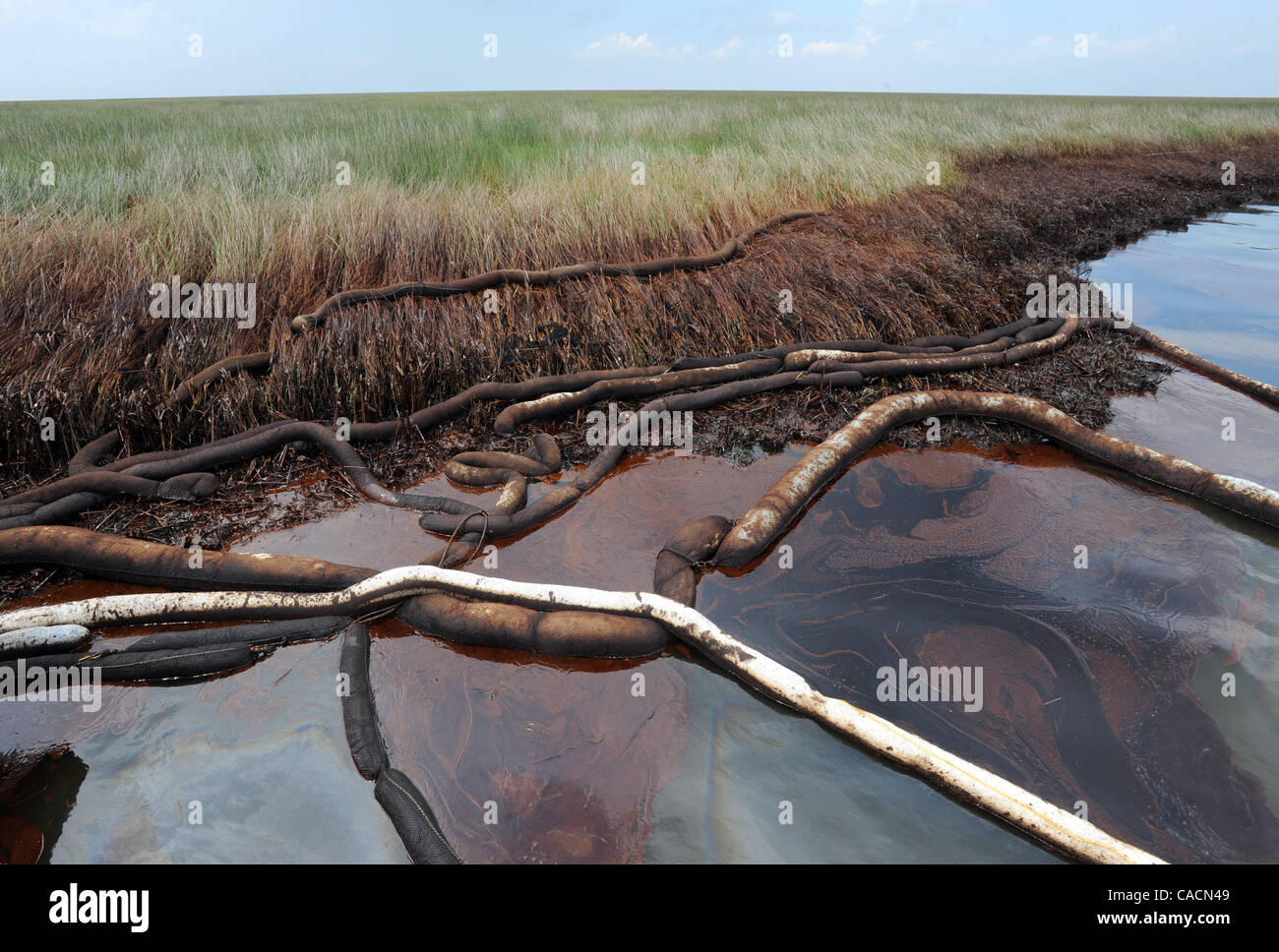 June 20, 2010 Port Sulphur, LOUISIANA, U.S. Thick crude oil from