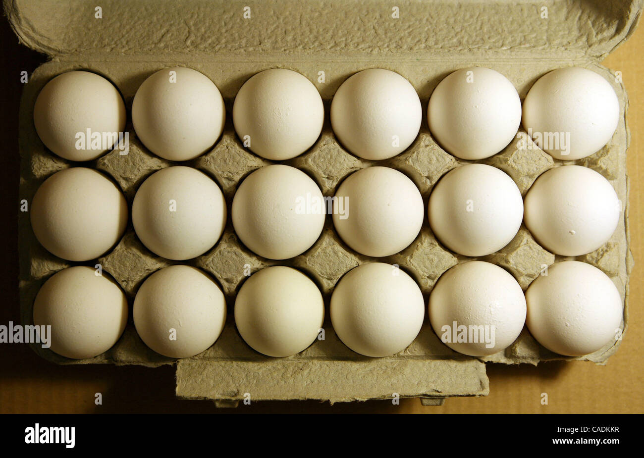 Eggs sit in an egg carton. A salmonella outbreak that sickened hundreds