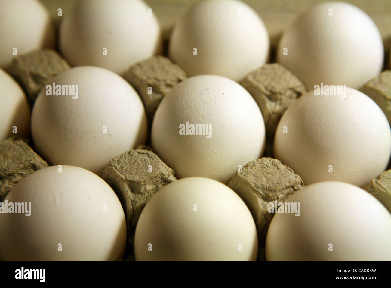 Eggs sit in an egg carton. A salmonella outbreak that sickened hundreds