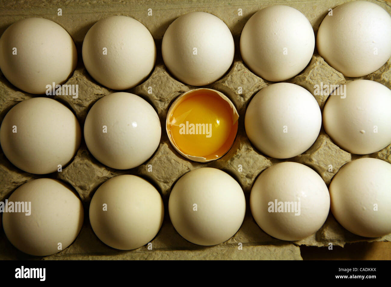 Eggs sit in an egg carton. A salmonella outbreak that sickened hundreds