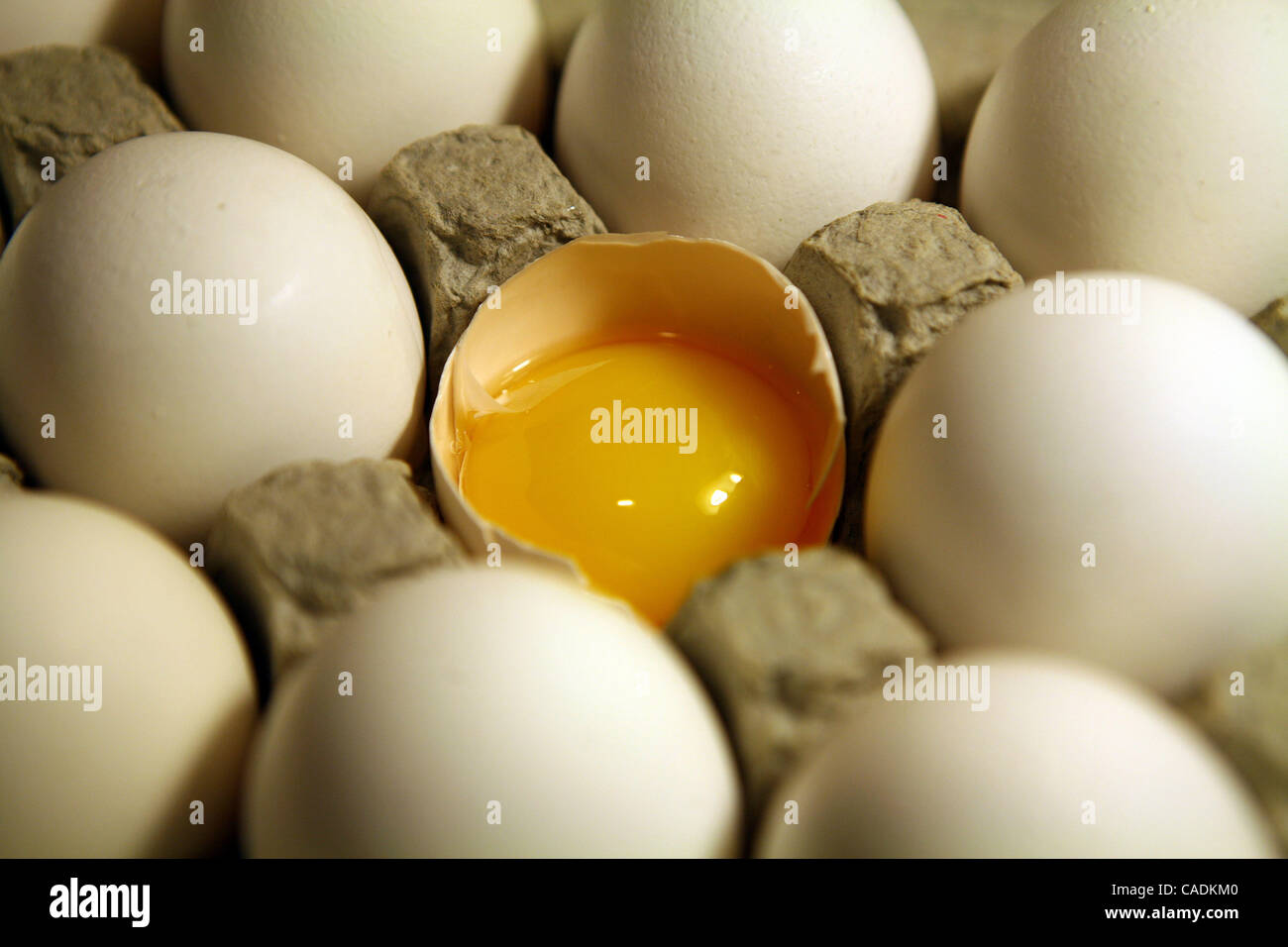 Eggs sit in an egg carton. A salmonella outbreak that sickened hundreds