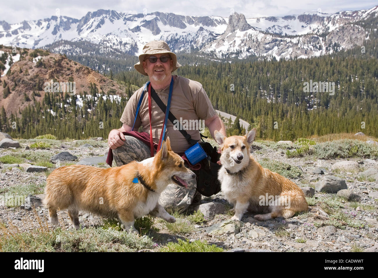 hiking with corgi