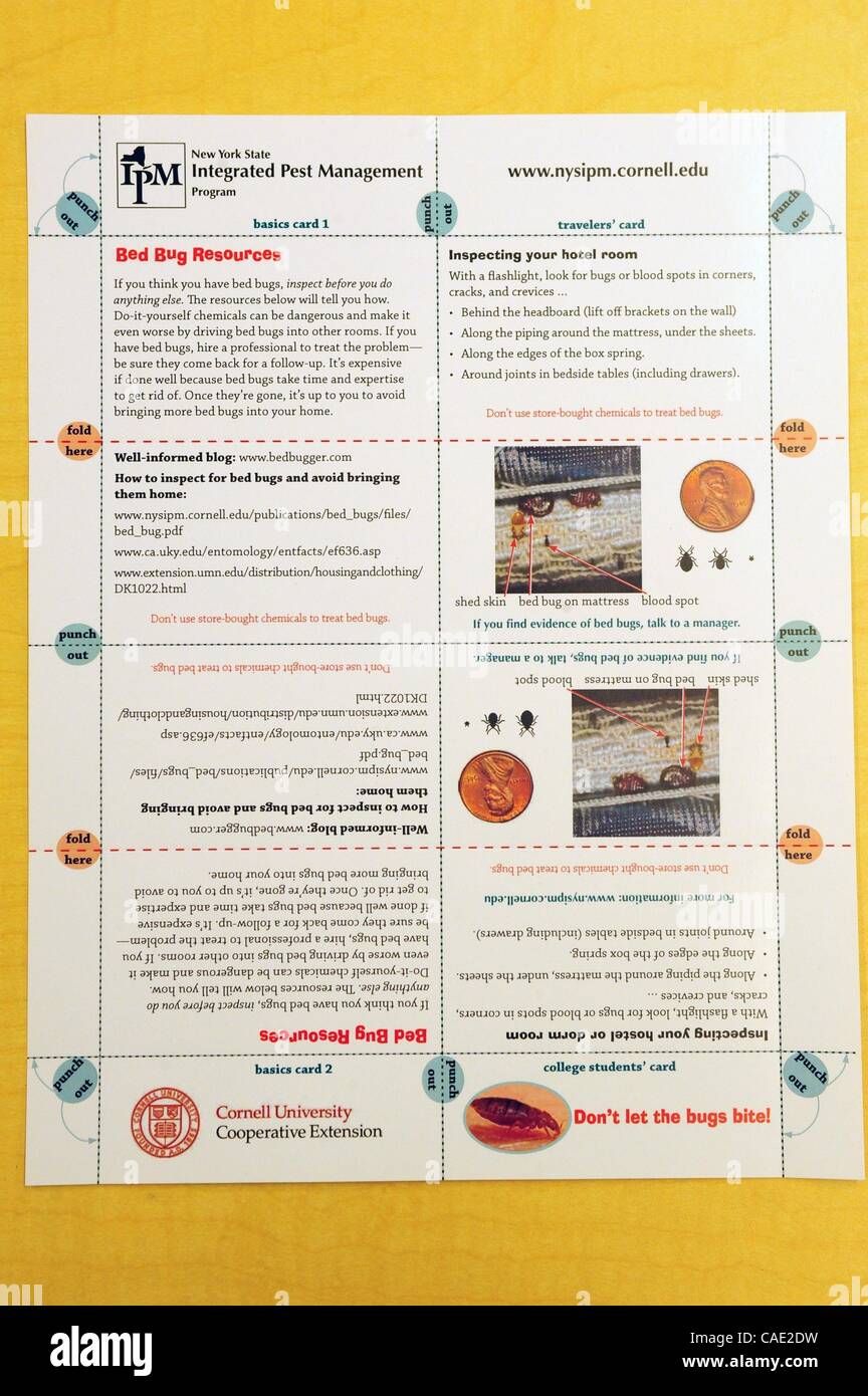 Sept. 14, 2010 - Manhattan, New York, U.S. - A tip sheet to identify the existence and prevention of bed bugs. Jody Gangloff-Kaufmann, Senior Extension Associate, Integrated Pest Management Program Area Specialist, Cornell University, discusses the bed-bug outbreak in New York City at a Cornell Univ Stock Photo