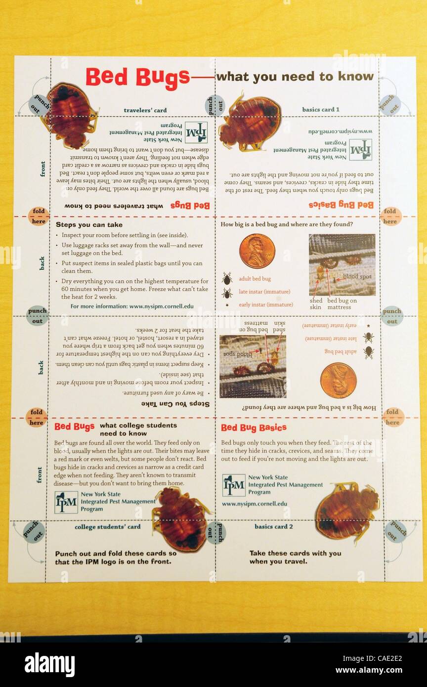 Bed bugs new york hires stock photography and images Alamy