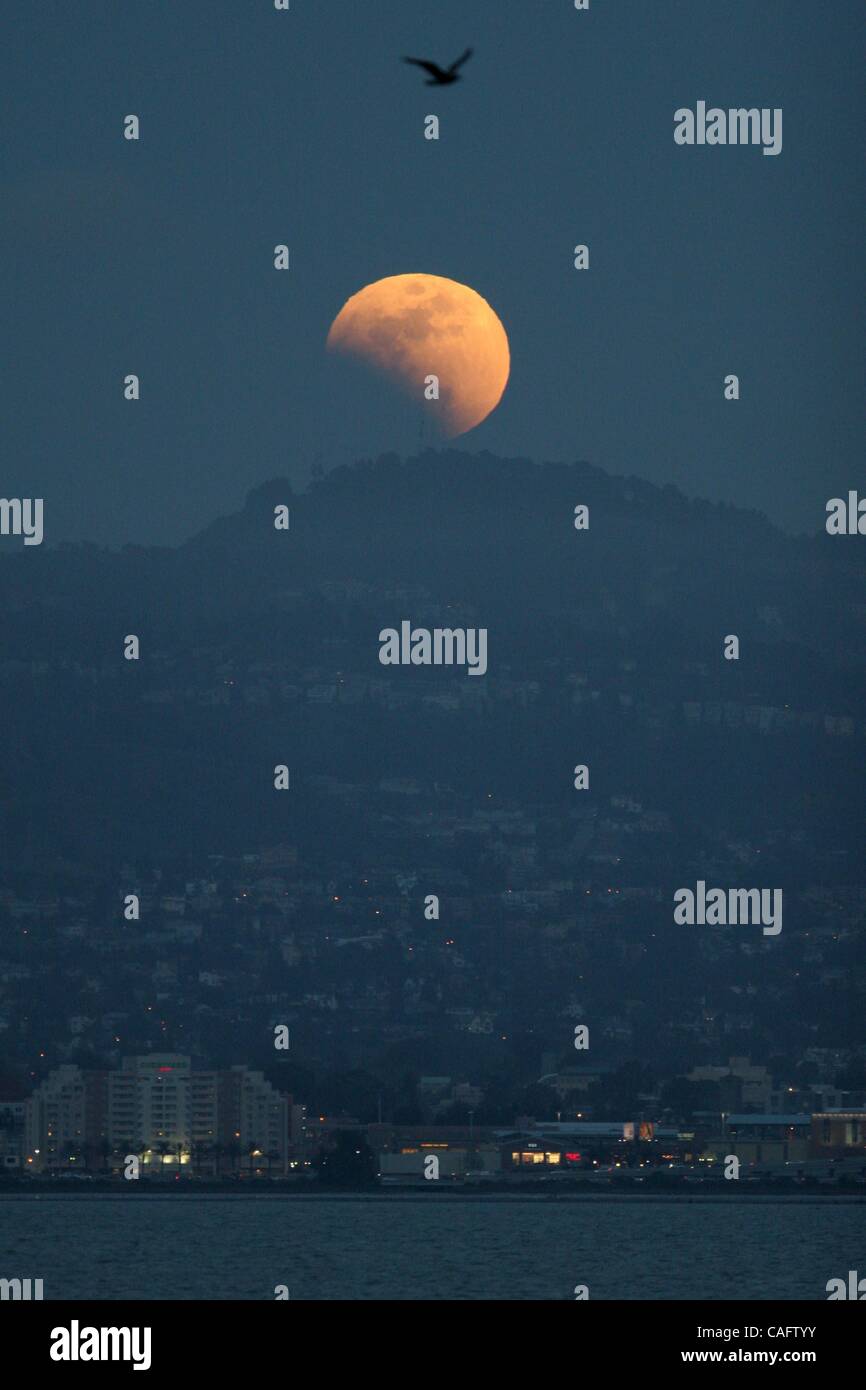 An early phase of the Lunar Eclipse rises behind the Oakland Hills as a seagull flies past the moon seen from the Treasure Island in San Francisco, Calif.,  Wednesday Feb. 20, 2008. (Ray Chavez/The Oakland Tribune) Stock Photo
