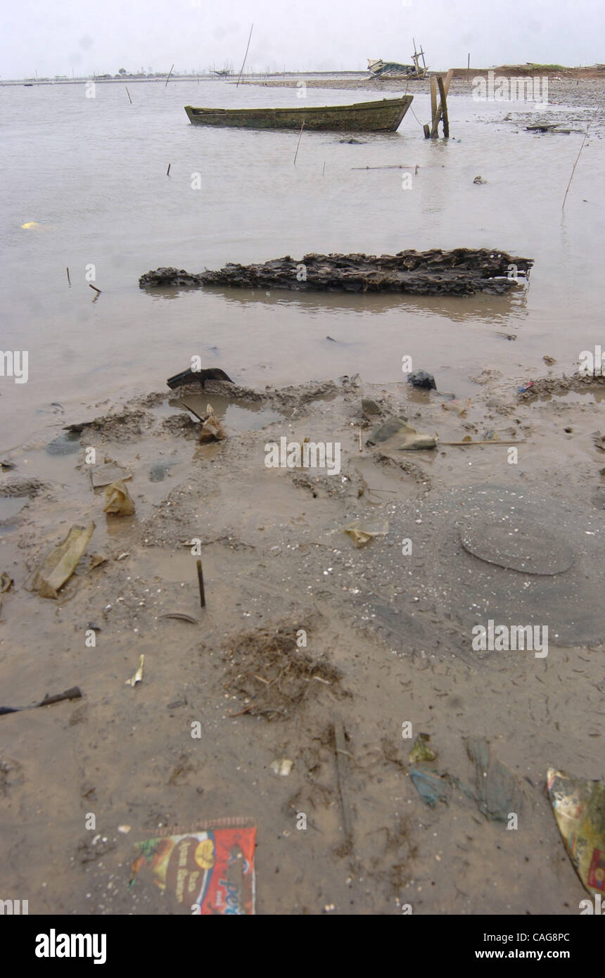 flotsam and jetsam that previously was partly mangrove forest, in Jakarta bay on February 16, 2008.. There is less than 150 hectares of mangrove remaining around Jakarta, after authorities in Jakarta launched reclamation programs in the 1980s for development programs. Mangroves protect the coast fro Stock Photo