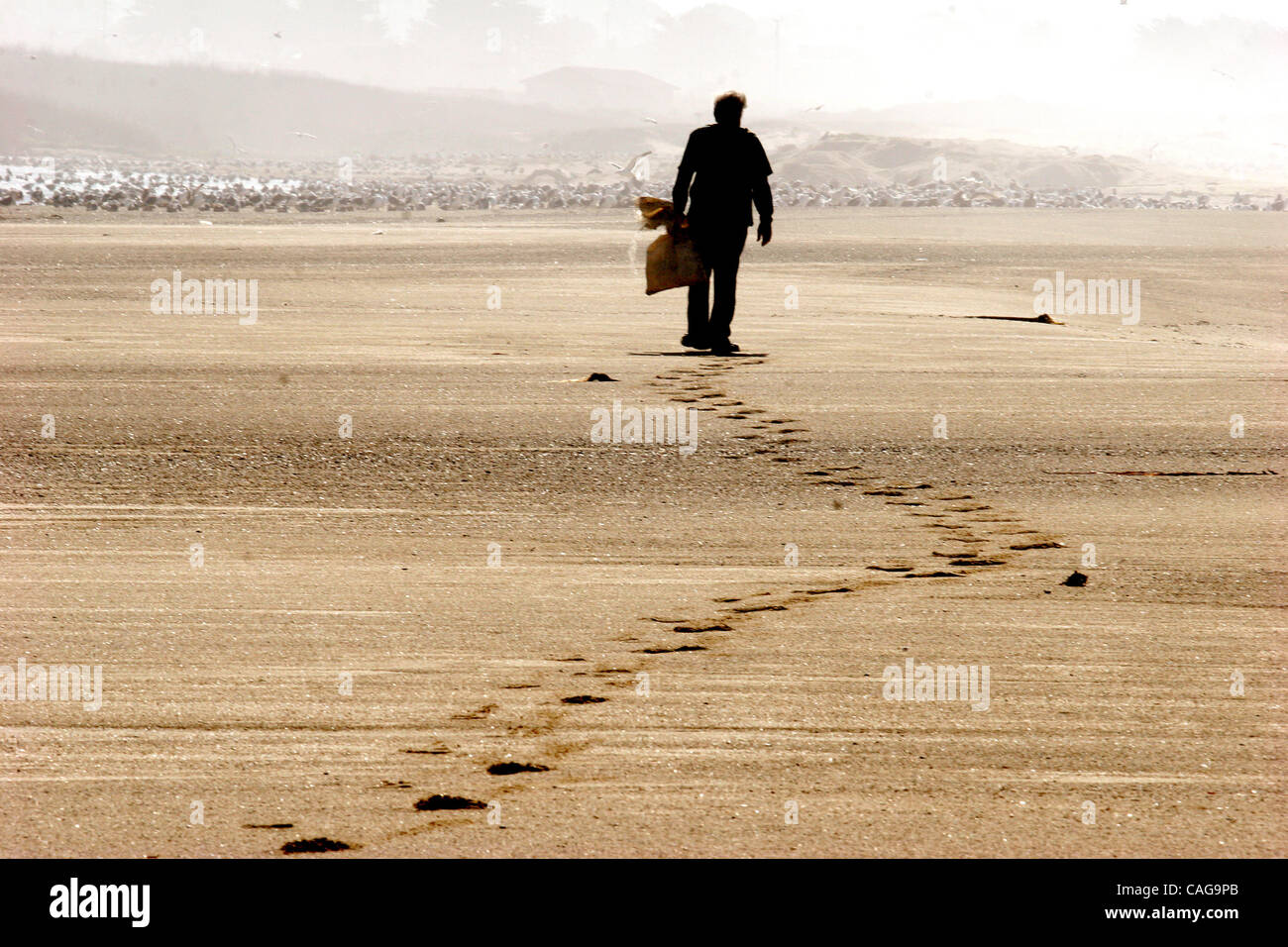 Work bag in hand, biologist Ray Bandar, 80, walks along Venice Beach on ...