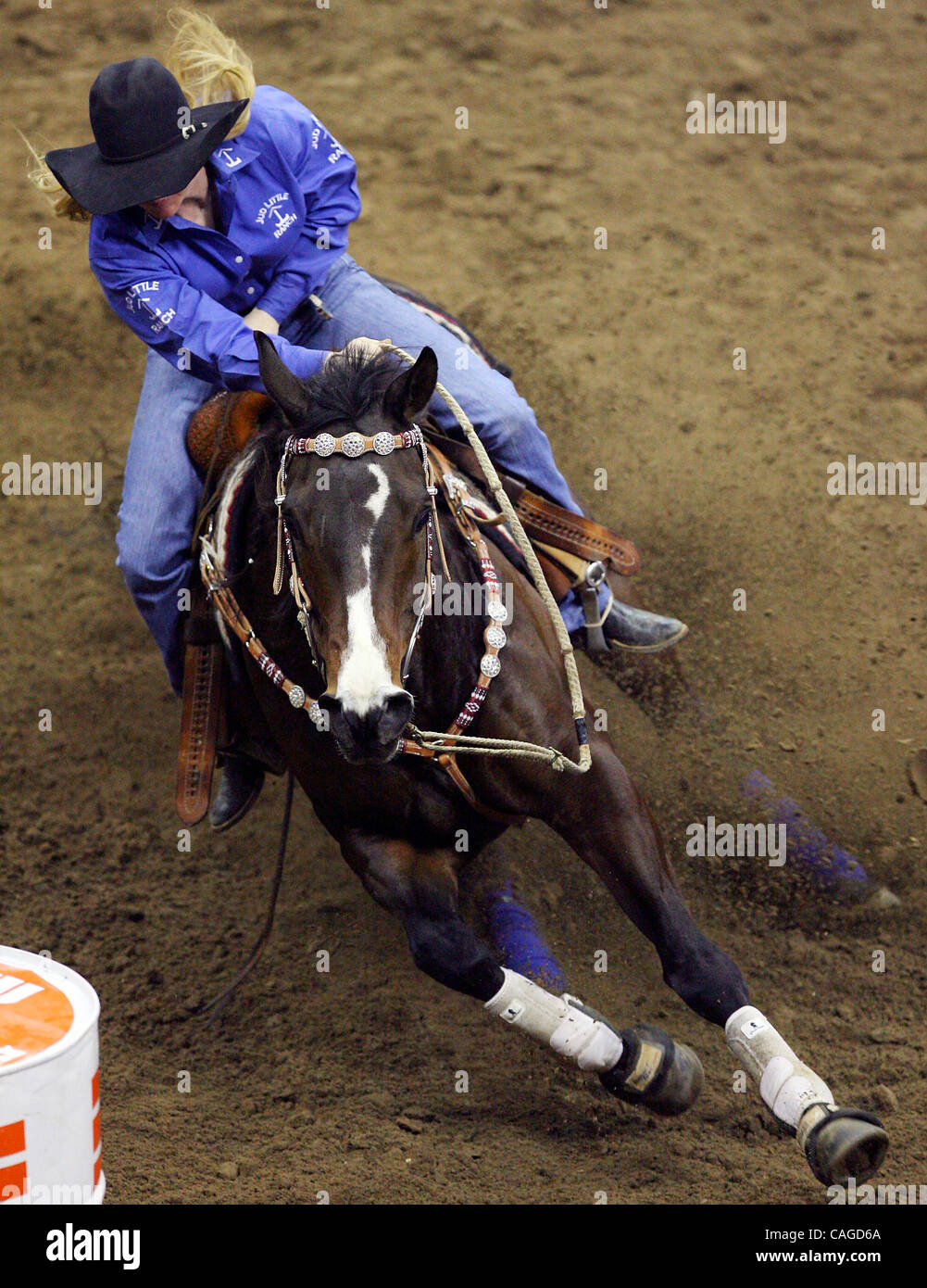Tiffany fox hi-res stock photography and images - Alamy