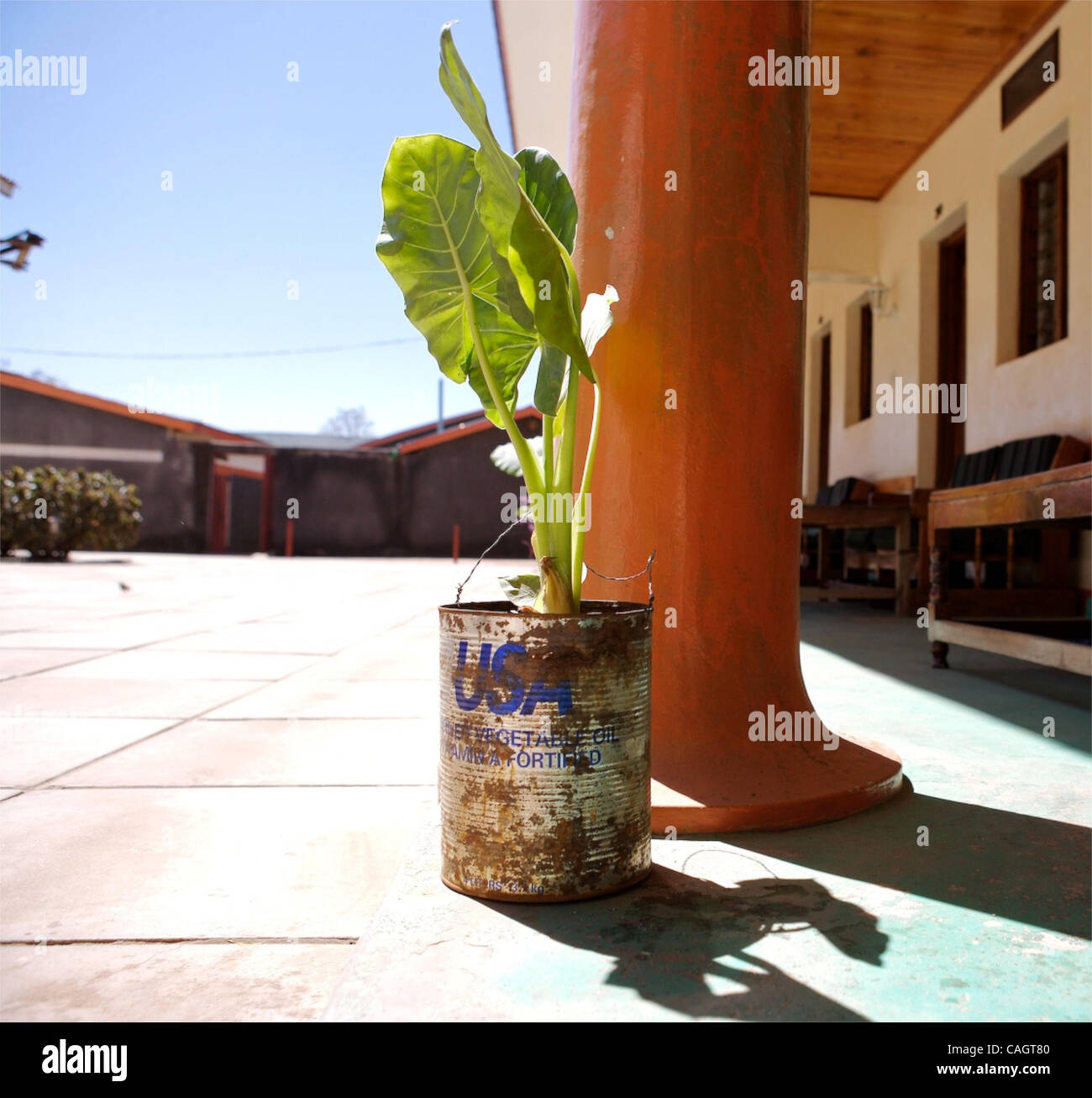 This hotel prides itself at being the best in Adjumani. Seen here is an aid container functioning as a flower pot. Stock Photo