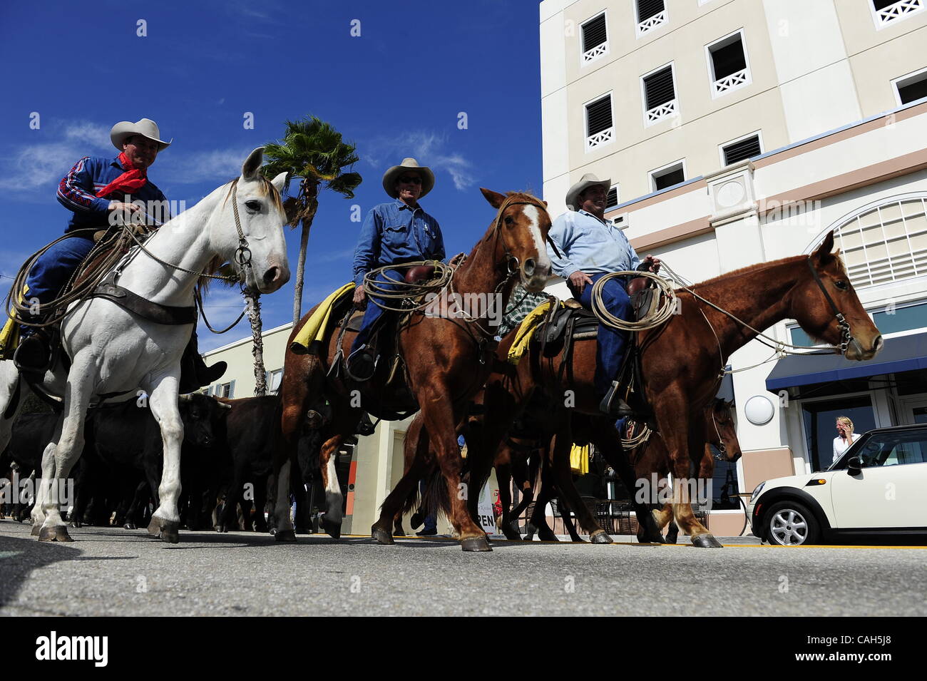 Cowboys cattle beach hi-res stock photography and images - Alamy